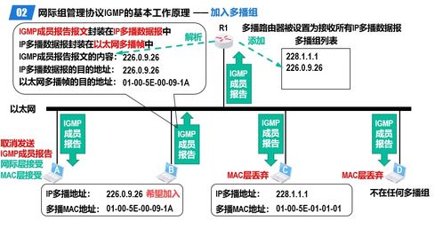 计算机网络工程施工与设计中网络层的核心作用与实践