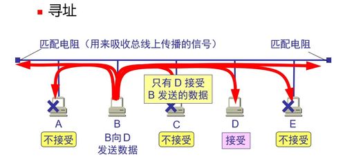 计算机网络体系结构 数据链路层